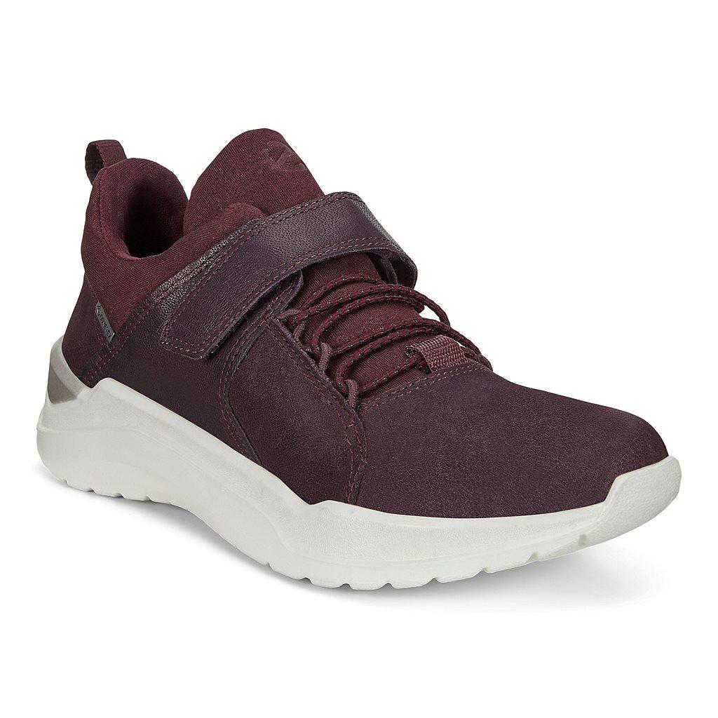 Ecco Intervene Boys Sneakers Purple Online - India SKA-130786